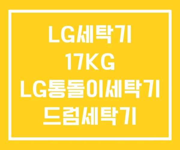 LG세탁기 17KG LG통돌이세탁기 드럼세탁기