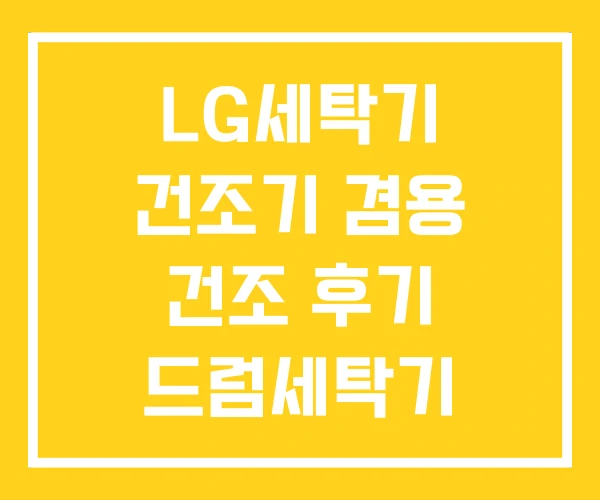 LG세탁기 건조기 겸용 건조 후기 드럼세탁기 LG세탁기 건조기 겸용 건조 후기 드럼세탁기