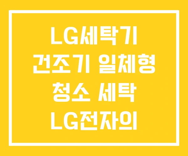 LG세탁기 건조기 일체형 청소 세탁 LG전자의 LG세탁기 건조기 일체형 청소 세탁 LG전자의