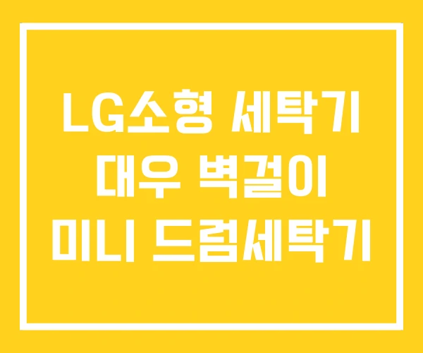 LG소형 세탁기 대우 벽걸이 미니 드럼세탁기 LG소형 세탁기 대우 벽걸이 미니 드럼세탁기