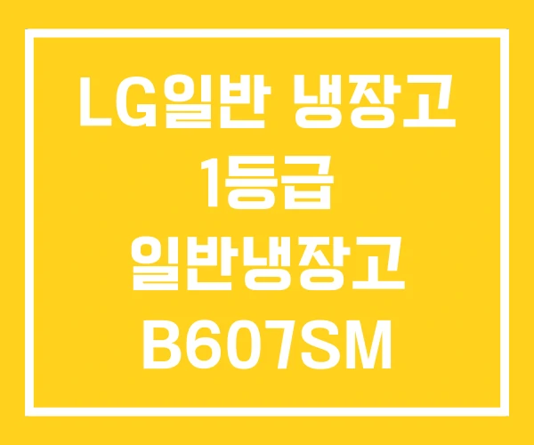LG일반 냉장고 1등급 일반냉장고 B607SM LG일반 냉장고 1등급 일반냉장고 B607SM