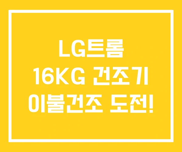 LG트롬 16KG 건조기 이불건조 도전! LG트롬 16KG 건조기 이불건조 도전!