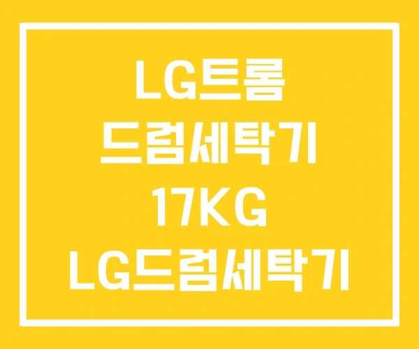 LG트롬 드럼세탁기 17KG LG드럼세탁기 LG트롬 드럼세탁기 17KG LG드럼세탁기