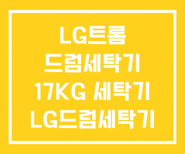 LG트롬 드럼세탁기 17KG 세탁기 LG드럼세탁기 LG트롬 드럼세탁기 17KG 세탁기 LG드럼세탁기