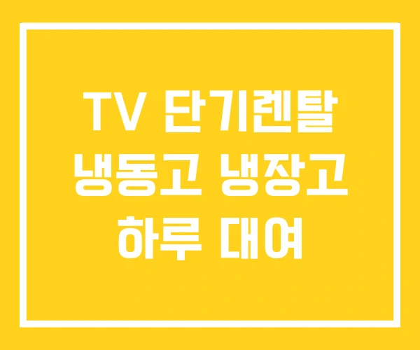 TV 단기렌탈 냉동고 냉장고 하루 대여