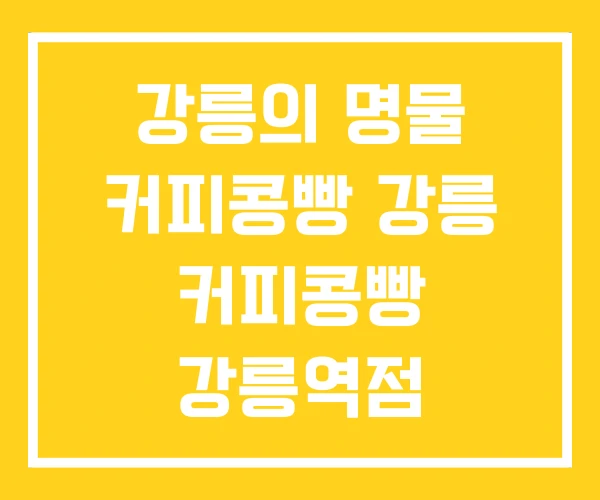 강릉의 명물 커피콩빵  강릉 커피콩빵 강릉역점
