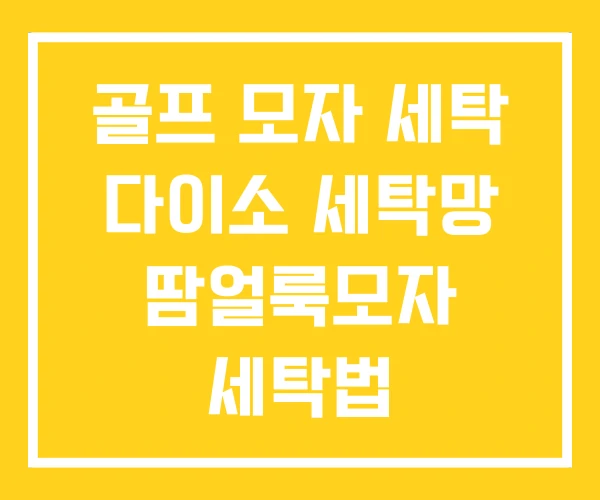골프 모자 세탁 다이소 세탁망 땀얼룩모자 세탁법