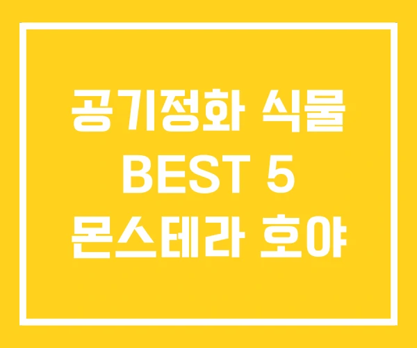 공기정화 식물 BEST 5 몬스테라 호야 공기정화 식물 BEST 5 몬스테라 호야