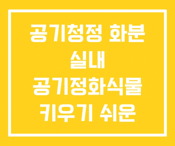 공기청정 화분 실내 공기정화식물 키우기 쉬운