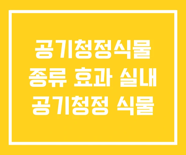공기청정식물 종류 효과 실내 공기청정 식물
