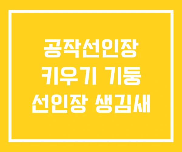 공작선인장 키우기 기둥 선인장 생김새 공작선인장 키우기 기둥 선인장 생김새