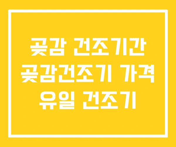 곶감 건조기간 곶감건조기 가격 유일 건조기