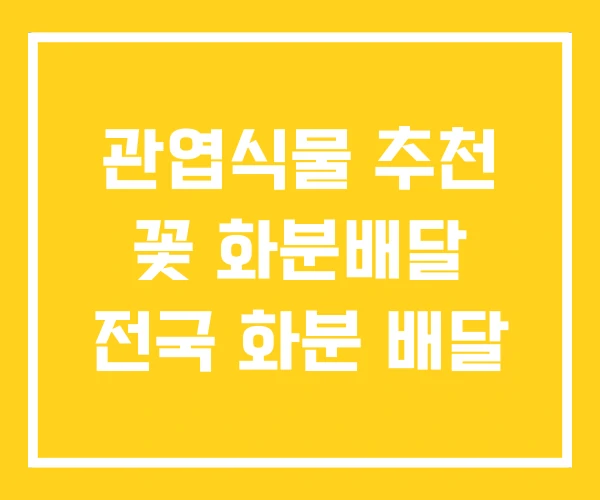 관엽식물 추천 꽃 화분배달 전국 화분 배달 관엽식물 추천 꽃 화분배달 전국 화분 배달