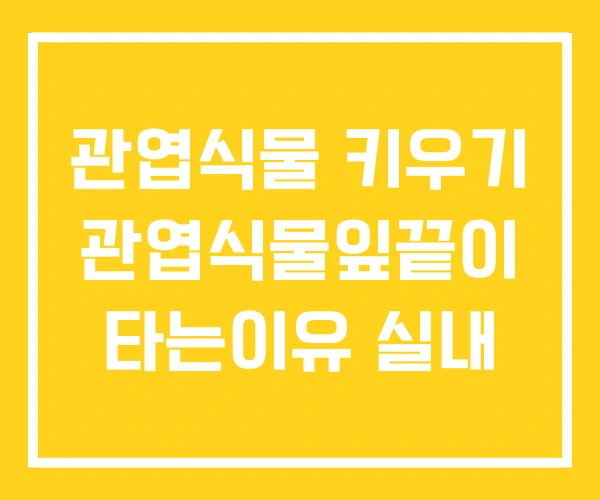 관엽식물 키우기 관엽식물잎끝이 타는이유 실내