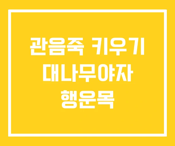 관음죽 키우기 대나무야자 행운목