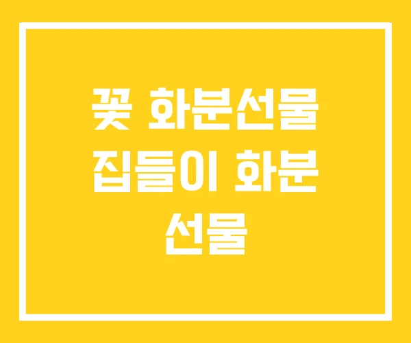 꽃 화분선물 집들이 화분 선물 꽃 화분선물 집들이 화분 선물