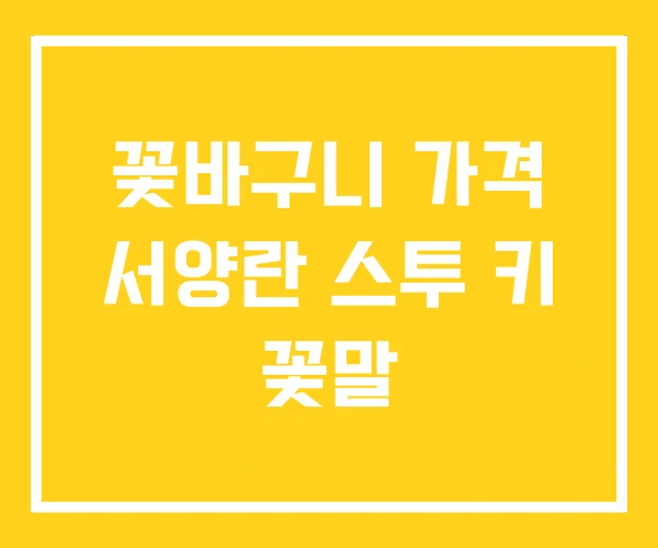 꽃바구니 가격 서양란 스투 키 꽃말