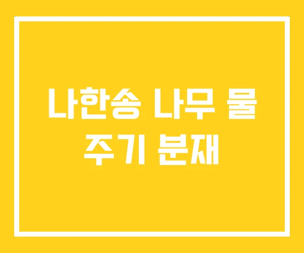 나한송 나무 물 주기 분재
