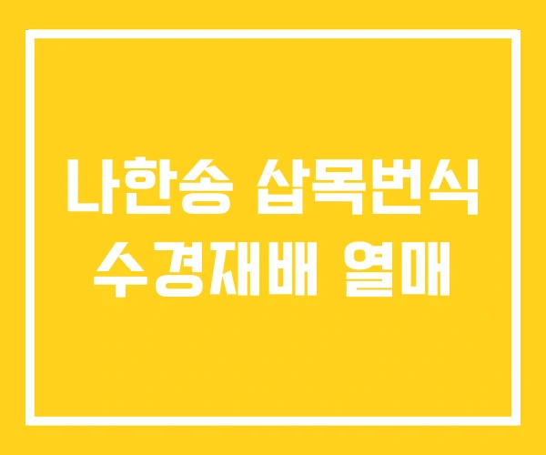 나한송 삽목번식 수경재배 열매