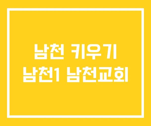 남천 키우기 남천1 남천교회 남천 키우기 남천1 남천교회