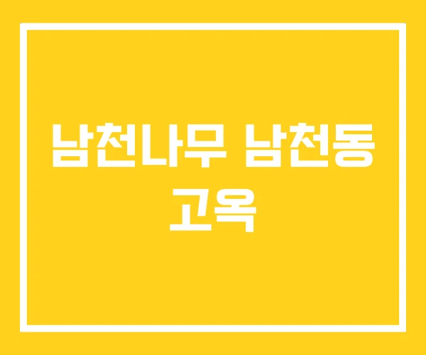남천나무 남천동 고옥 남천나무 남천동 고옥