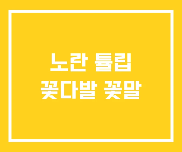 노란 튤립 꽃다발 꽃말