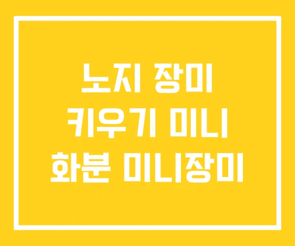 노지 장미 키우기 미니 화분 미니장미 노지 장미 키우기 미니 화분 미니장미