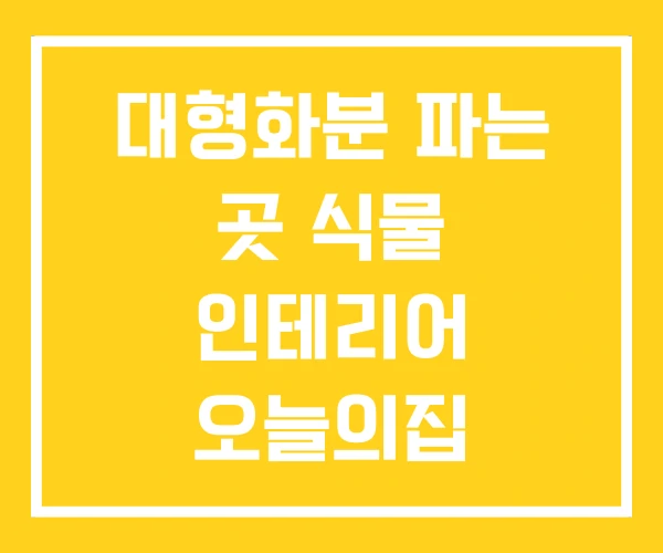 대형화분 파는 곳 식물 인테리어 오늘의집 대형화분 파는 곳 식물 인테리어 오늘의집
