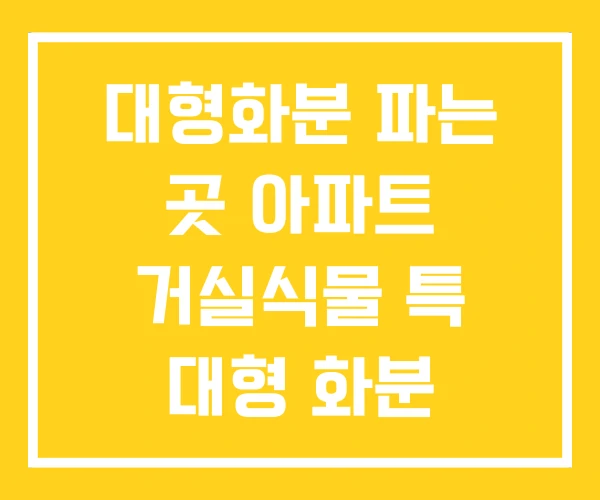 대형화분 파는 곳 아파트 거실식물 특 대형 화분 대형화분 파는 곳 아파트 거실식물 특 대형 화분