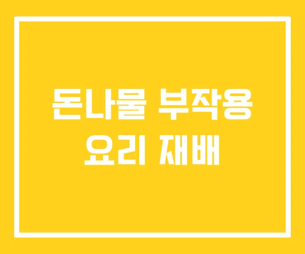 돈나물 부작용 요리 재배 돈나물 부작용 요리 재배