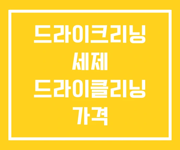드라이크리닝 세제 드라이클리닝 가격