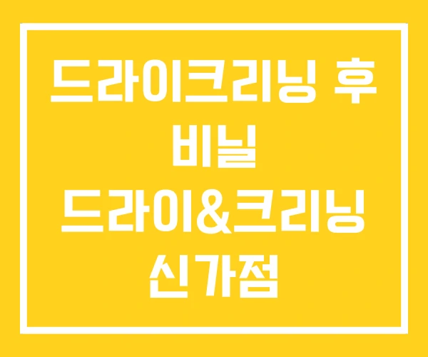 드라이크리닝 후 비닐 드라이&크리닝 신가점