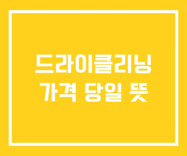 드라이클리닝 가격 당일 뜻