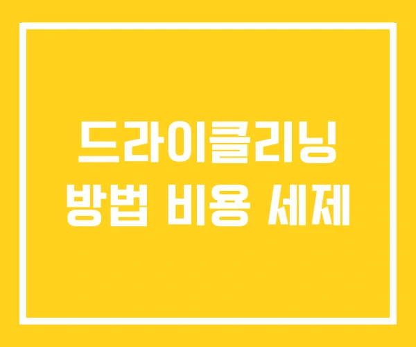 드라이클리닝 방법 비용 세제