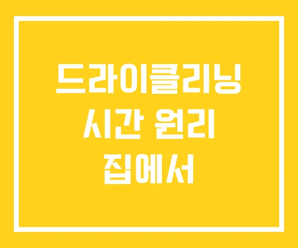 드라이클리닝 시간 원리 집에서