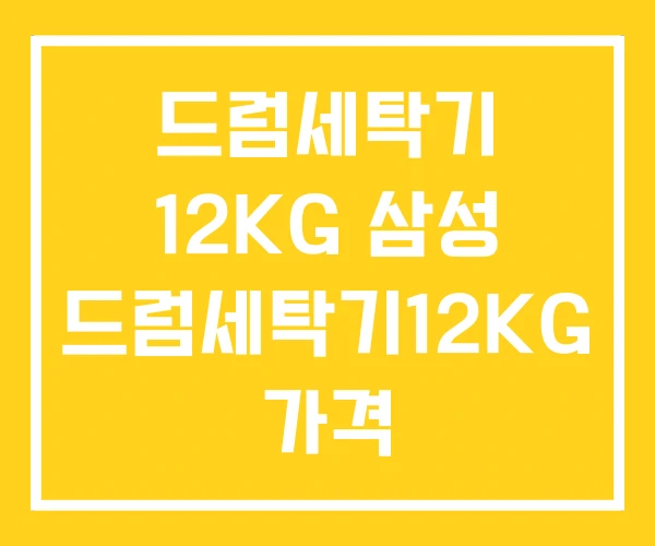 드럼세탁기 12KG 삼성 드럼세탁기12KG 가격