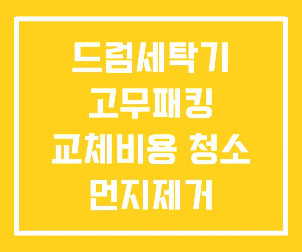 드럼세탁기 고무패킹 교체비용 청소 먼지제거 드럼세탁기 고무패킹 교체비용 청소 먼지제거