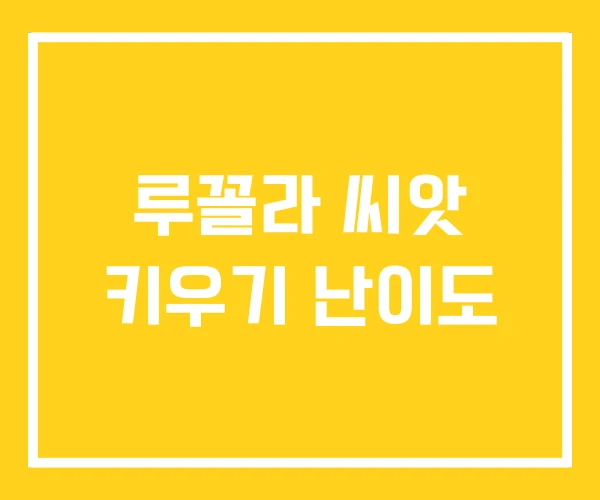 루꼴라 씨앗 키우기 난이도