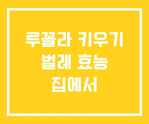 루꼴라 키우기 벌레 효능 집에서 루꼴라 키우기 벌레 효능 집에서