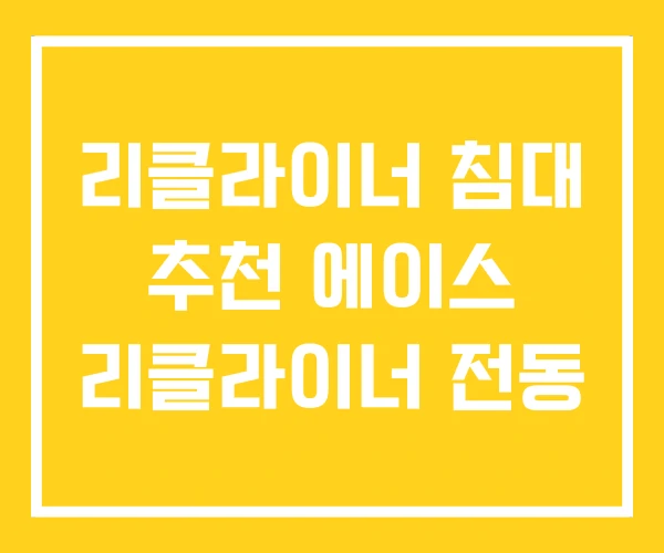 리클라이너 침대 추천 에이스 리클라이너 전동 리클라이너 침대 추천 에이스 리클라이너 전동