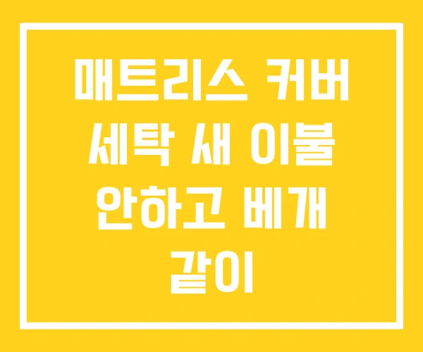 매트리스 커버 세탁 새 이불 안하고 베개 같이 매트리스 커버 세탁 새 이불 안하고 베개 같이