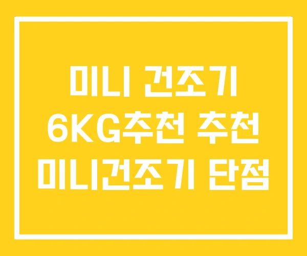 미니 건조기 6KG추천 추천 미니건조기 단점