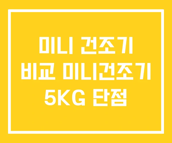 미니 건조기 비교 미니건조기 5KG 단점
