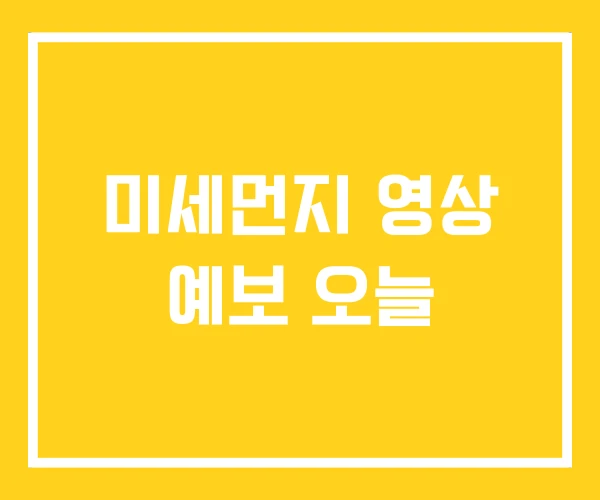 미세먼지 영상 예보 오늘