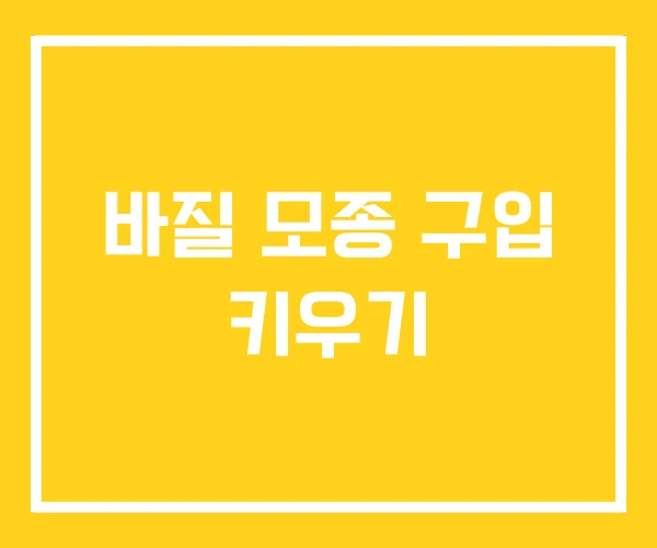 바질 모종 구입 키우기 바질 모종 구입 키우기