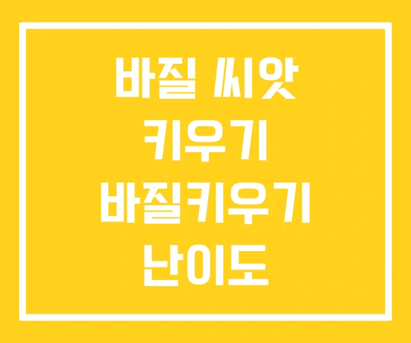 바질 씨앗 키우기 바질키우기 난이도 바질 씨앗 키우기 바질키우기 난이도