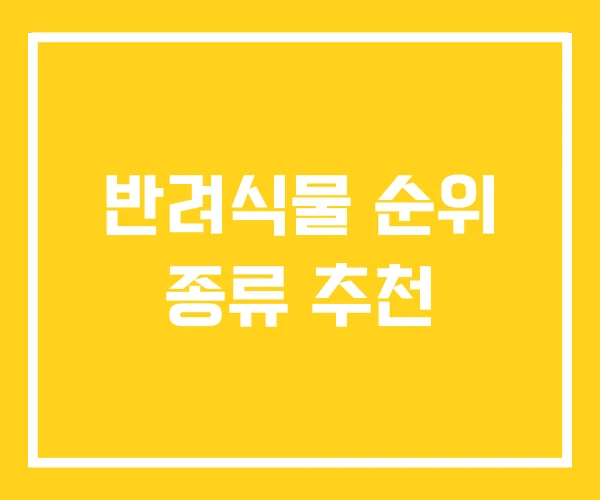 반려식물 순위 종류 추천