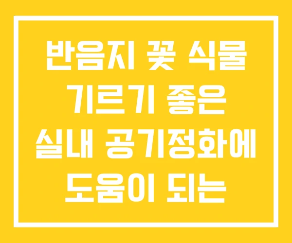 반음지 꽃 식물 기르기 좋은 실내 공기정화에 도움이 되는