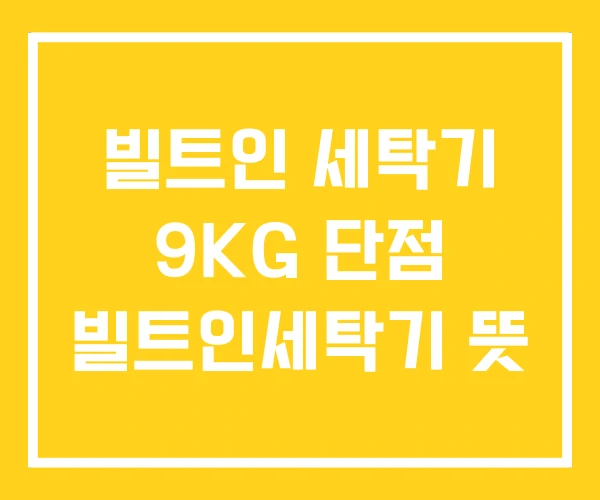 빌트인 세탁기 9KG 단점 빌트인세탁기 뜻