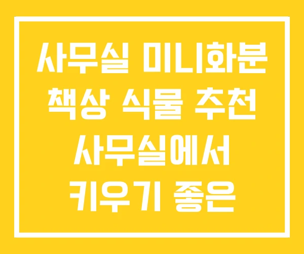 사무실 미니화분 책상 식물 추천 사무실에서 키우기 좋은 사무실 미니화분 책상 식물 추천 사무실에서 키우기 좋은